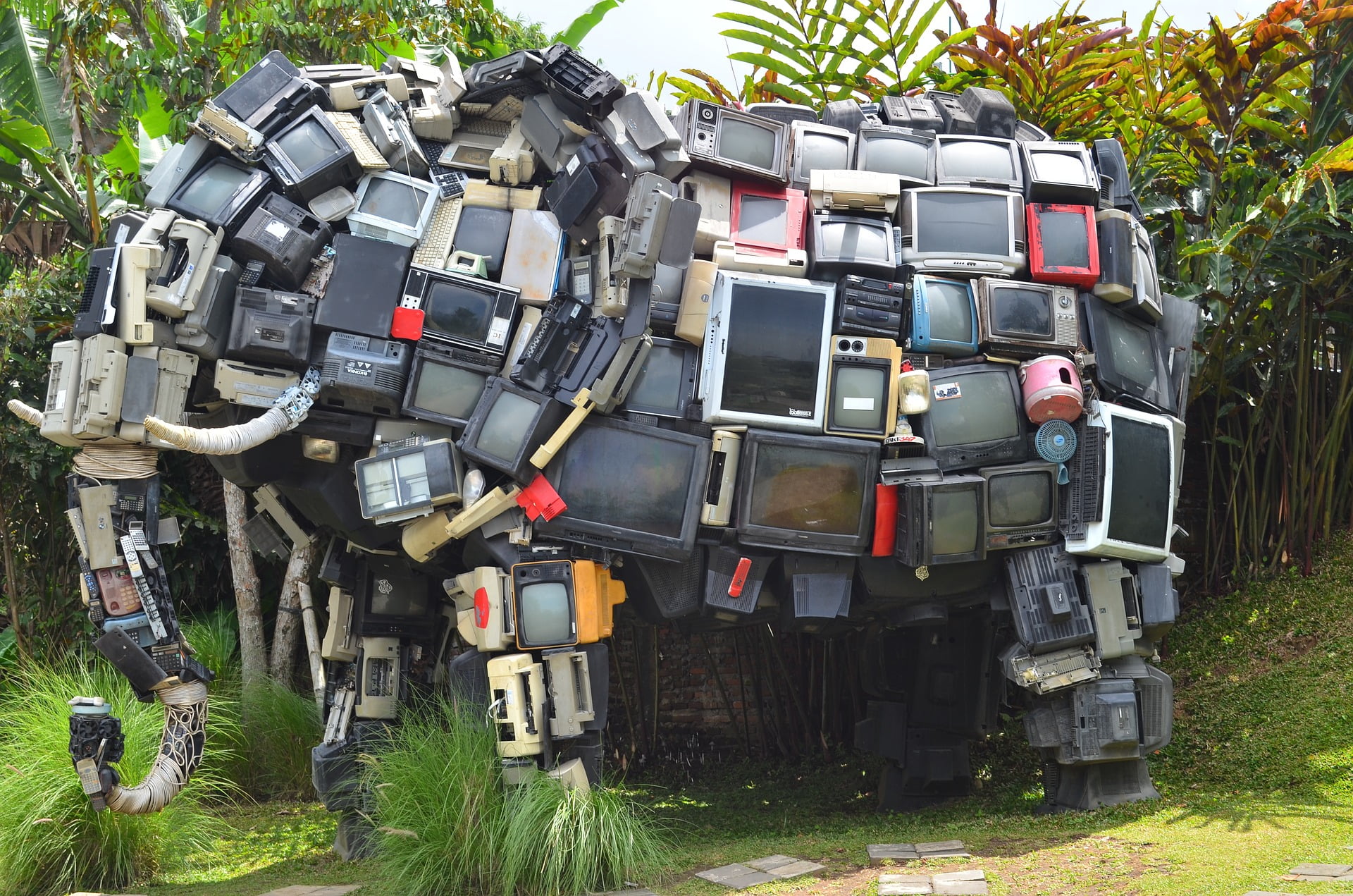 elephant-in_the_room elephant-in_the_room